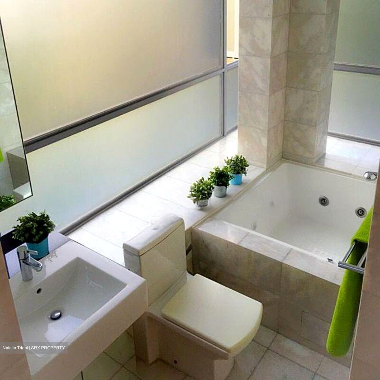 Angullia Park Residences @ Orchard (D10), Apartment #498097061